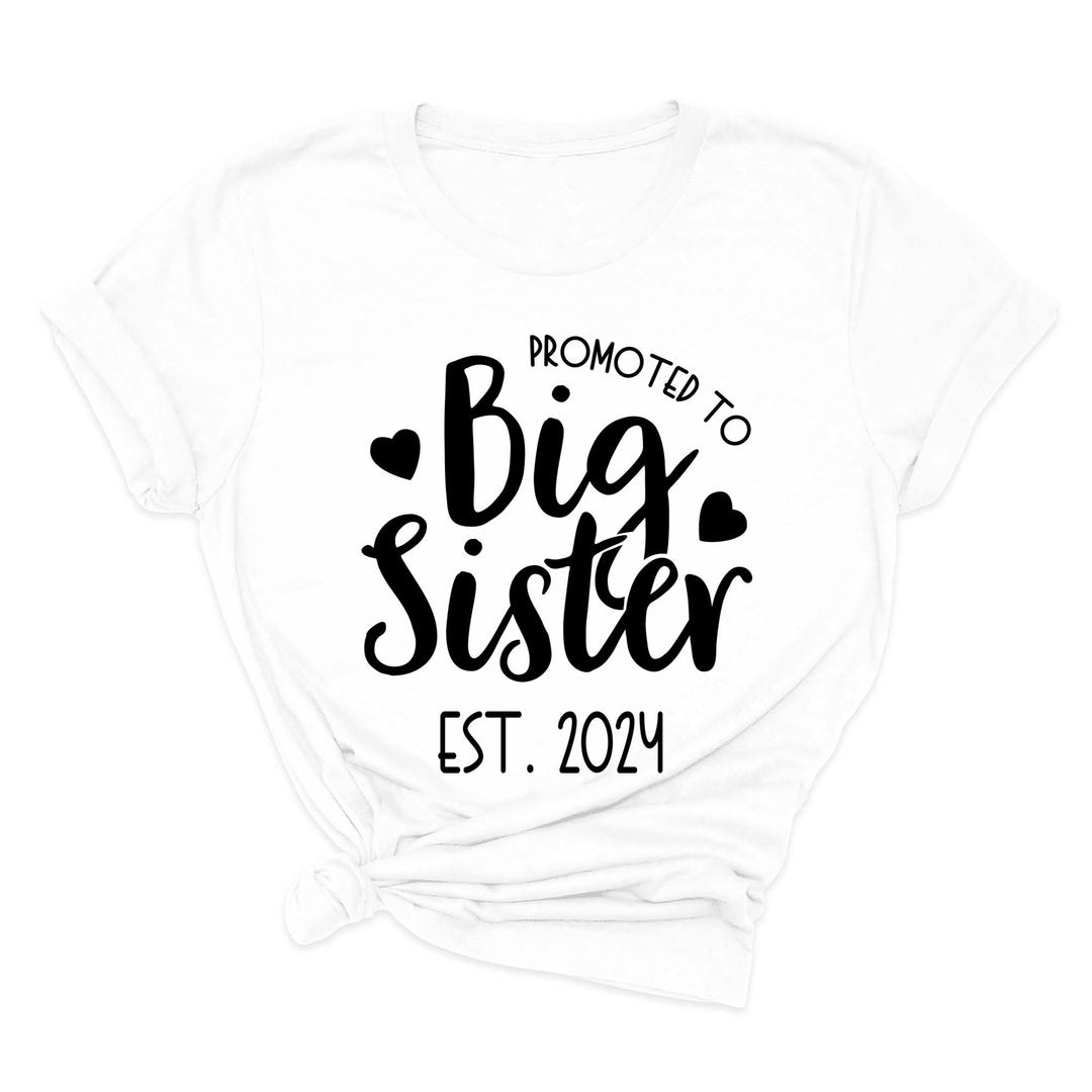 Promoted to Big Sister Shirt - Toddler & Kids Baby Announcement Tee