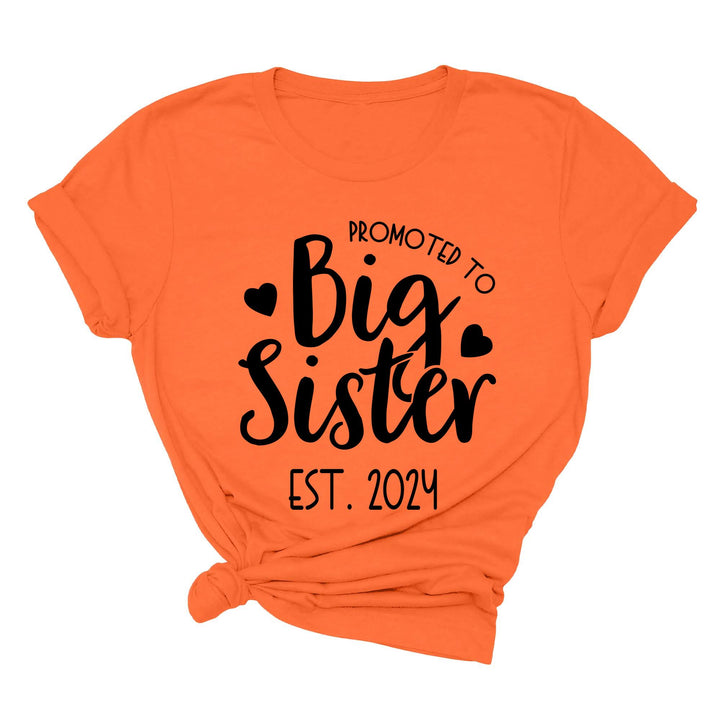 Promoted to Big Sister Shirt - Toddler & Kids Baby Announcement Tee