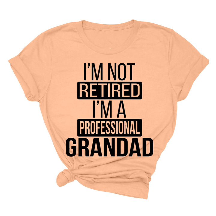 I'm Not Retired, I'm a Professional Grandad - Funny Gift Tee