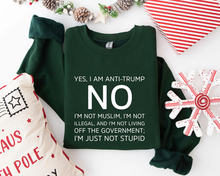 Anti Trump Hoodies, Not My President Hoodies, Love Trump Hoodies, Anti Racism Hoodies Shirtprintingcenter