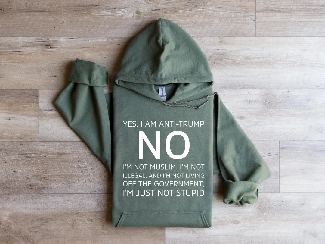 Anti Trump Hoodies, Not My President Hoodies, Love Trump Hoodies, Anti Racism Hoodies Shirtprintingcenter