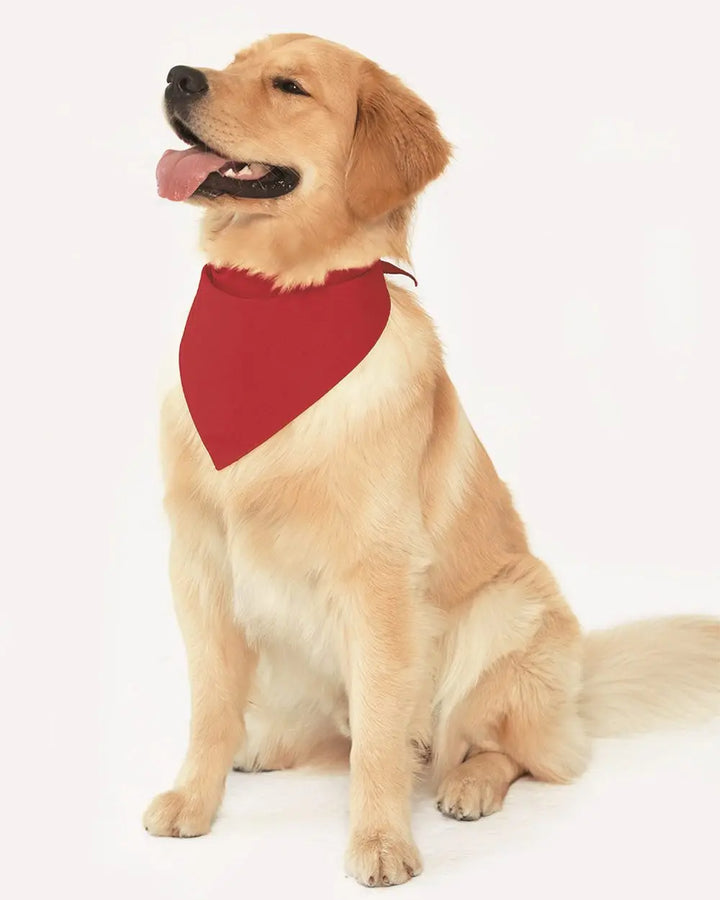 Custom Doggie Skins USA-Made Doggie Bandana - 3905