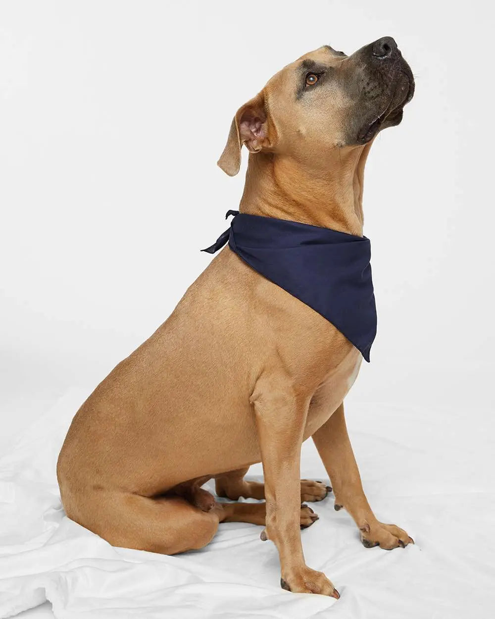 Custom Doggie Skins USA-Made Doggie Bandana - 3905