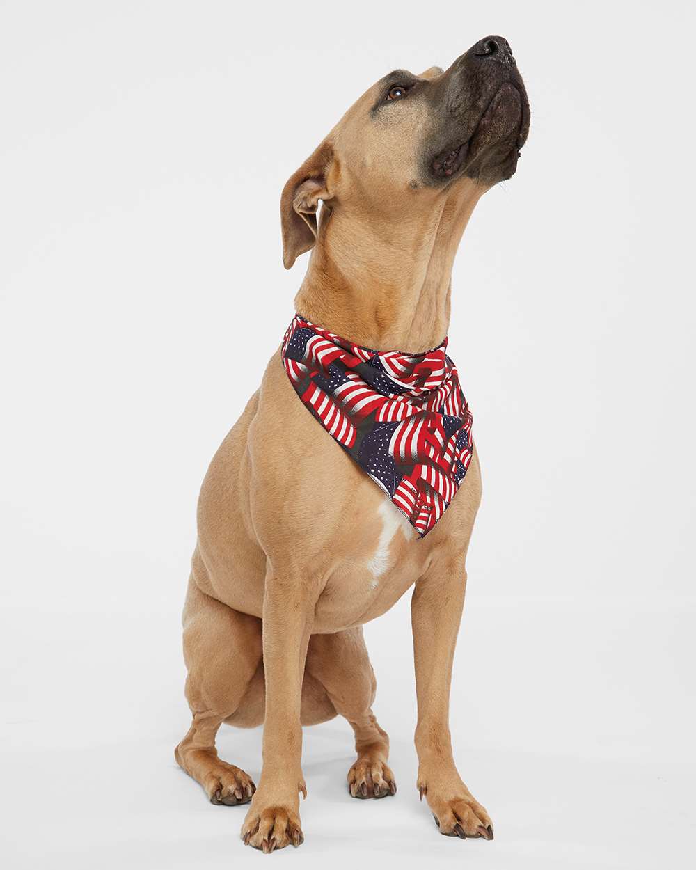 Doggie Skins USA-Made Doggie Bandana - 3905