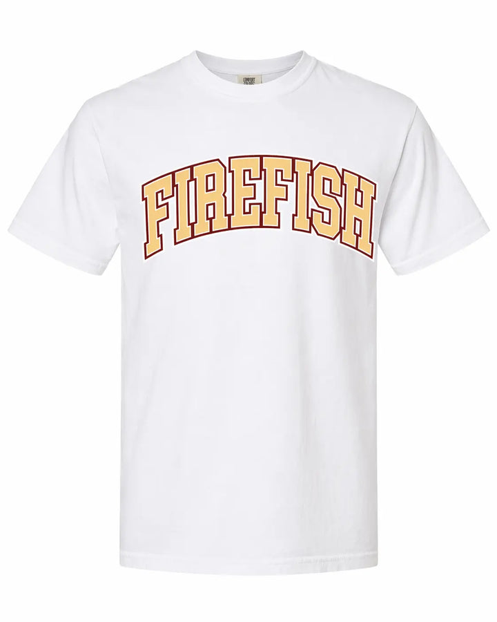 Firefish Swim Team  Adult and Youth Tshirt
