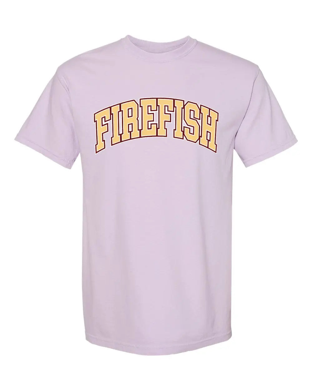 Firefish Swim Team  Adult and Youth Tshirt