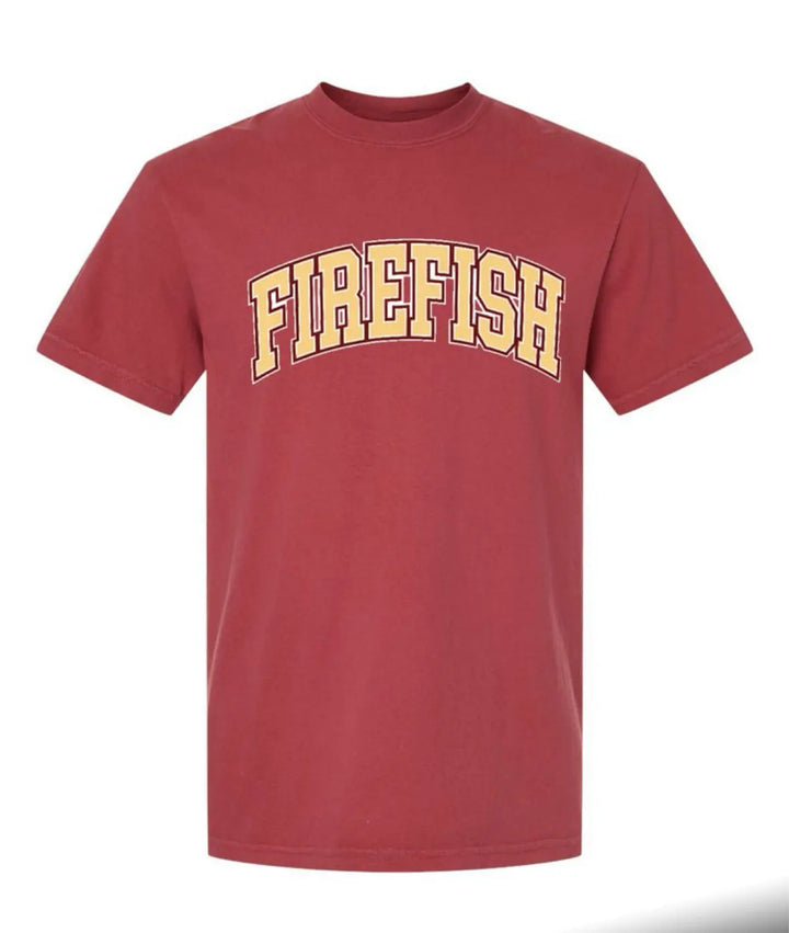 Firefish Swim Team  Adult and Youth Tshirt