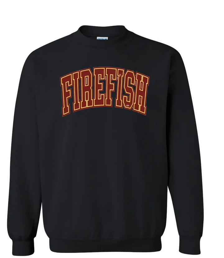 Firethorne Firefish Swim Team Adult and Youth Unisex Sweetshirt and Hoodie