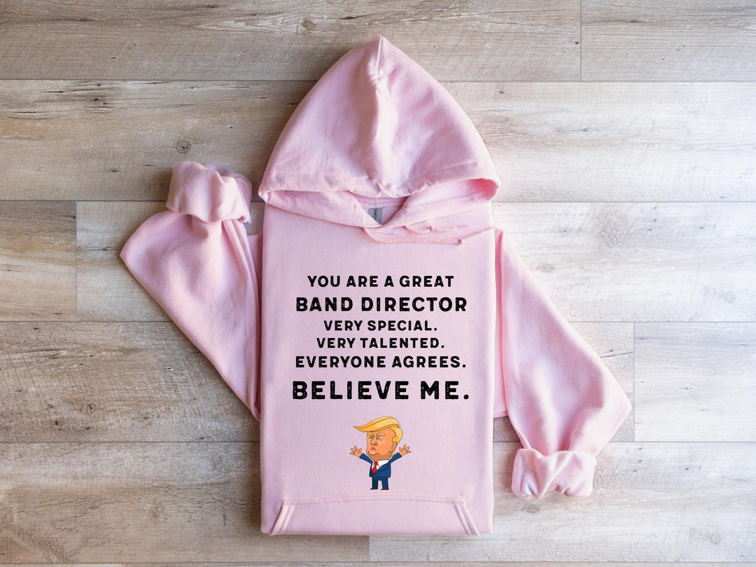 Trump Won 24 Sweatshirt, Trump 2024 Sweatshirt, President Trump, You're Great Badn Director,Republican Shirt, Republican Gifts Support Trump Shirt, American Flag Shirt