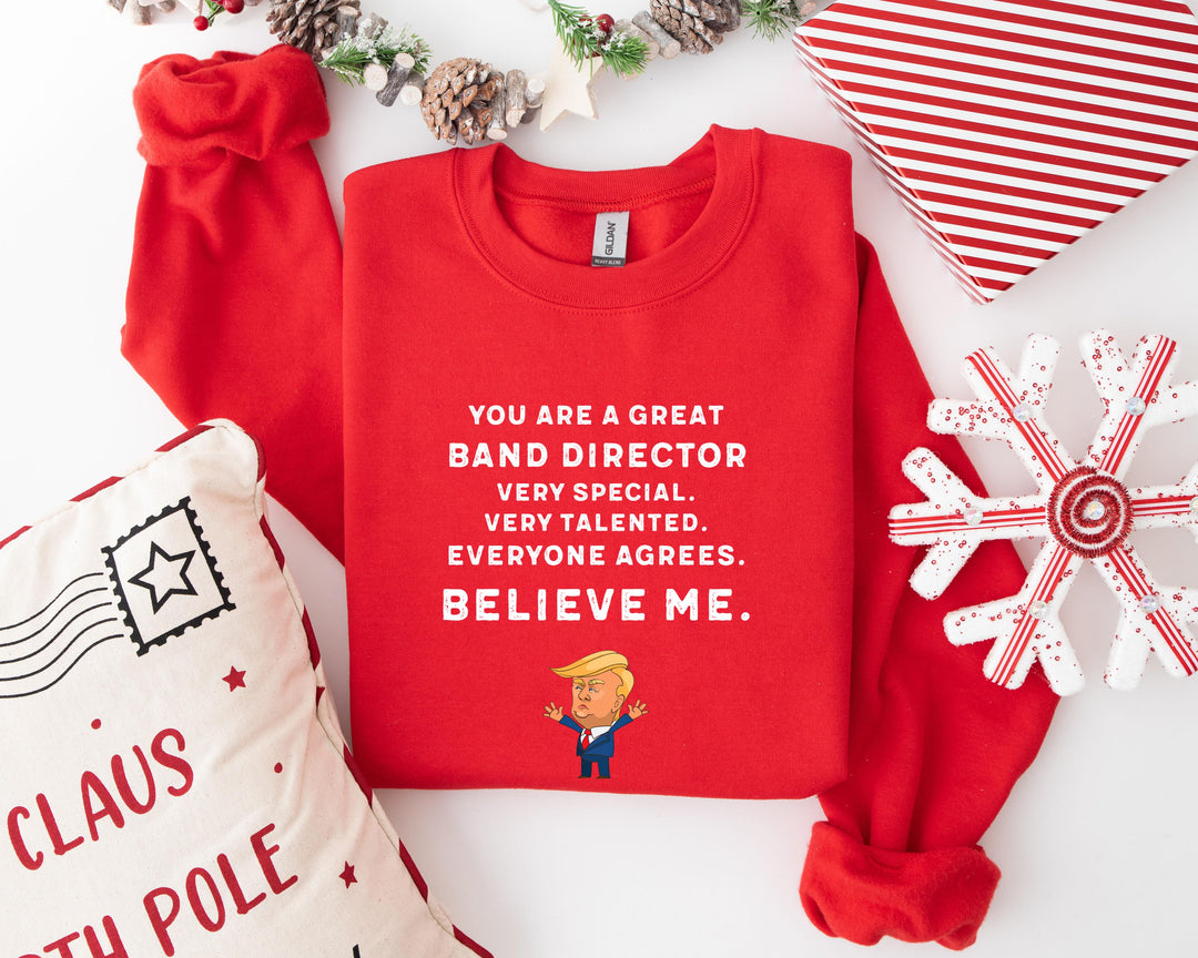 Trump Won 24 Sweatshirt, Trump 2024 Sweatshirt, President Trump, You're Great Badn Director,Republican Shirt, Republican Gifts Support Trump Shirt, American Flag Shirt