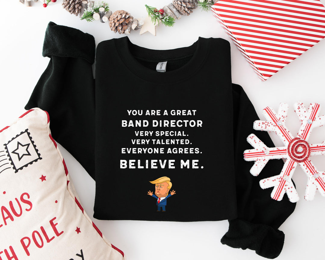 Trump Won 24 Sweatshirt, Trump 2024 Sweatshirt, President Trump, You're Great Badn Director,Republican Shirt, Republican Gifts Support Trump Shirt, American Flag Shirt