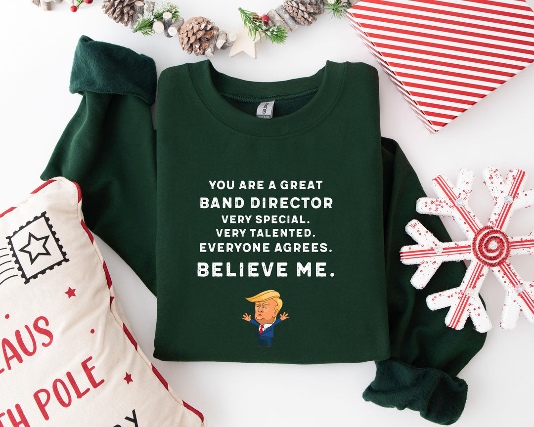 Trump Won 24 Sweatshirt, Trump 2024 Sweatshirt, President Trump, You're Great Badn Director,Republican Shirt, Republican Gifts Support Trump Shirt, American Flag Shirt