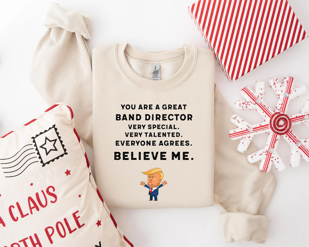Trump Won 24 Hoodies, Trump 2025 Hoodies, President Trump, You're Great Badn Director,Republican Shirt, Republican Gifts Support Trump Hoodies, American Flag Hoodies Shirtprintingcenter
