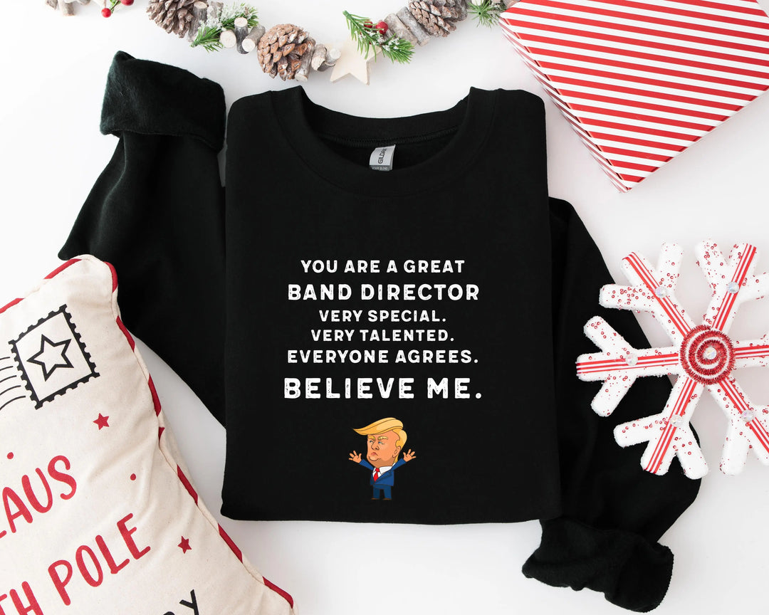 Trump Won 24 Hoodies, Trump 2025 Hoodies, President Trump, You're Great Badn Director,Republican Shirt, Republican Gifts Support Trump Hoodies, American Flag Hoodies Shirtprintingcenter
