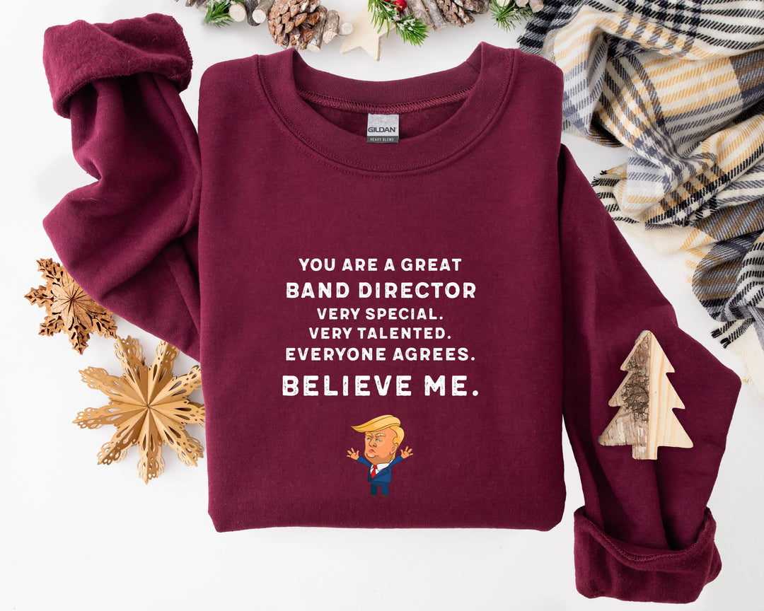 Trump Won 24 Hoodies, Trump 2025 Hoodies, President Trump, You're Great Badn Director,Republican Shirt, Republican Gifts Support Trump Hoodies, American Flag Hoodies Shirtprintingcenter