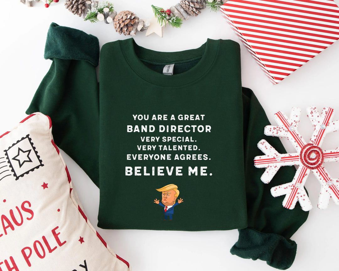 Trump Won 24 Hoodies, Trump 2025 Hoodies, President Trump, You're Great Badn Director,Republican Shirt, Republican Gifts Support Trump Hoodies, American Flag Hoodies Shirtprintingcenter