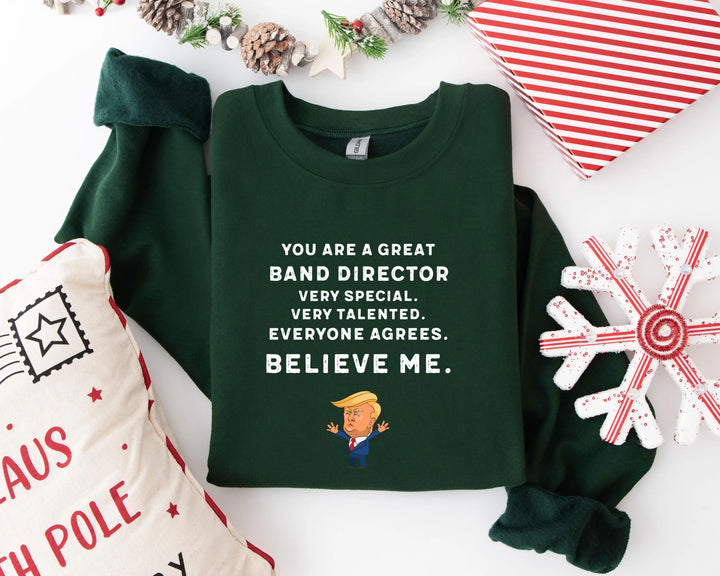 Trump Won 24 Hoodies, Trump 2025 Hoodies, President Trump, You're Great Badn Director,Republican Shirt, Republican Gifts Support Trump Hoodies, American Flag Hoodies Shirtprintingcenter