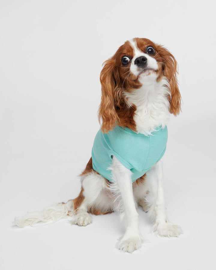 Custom Embroidered Doggie Skins Doggie Tank - 3902