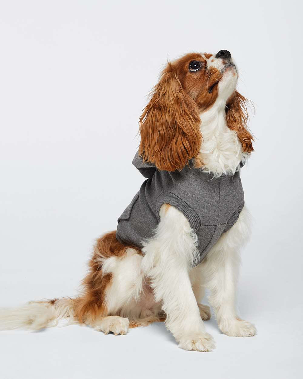 Custom E mbroidered Doggie 3-End Fleece Hooded Sweatshirt - 3926