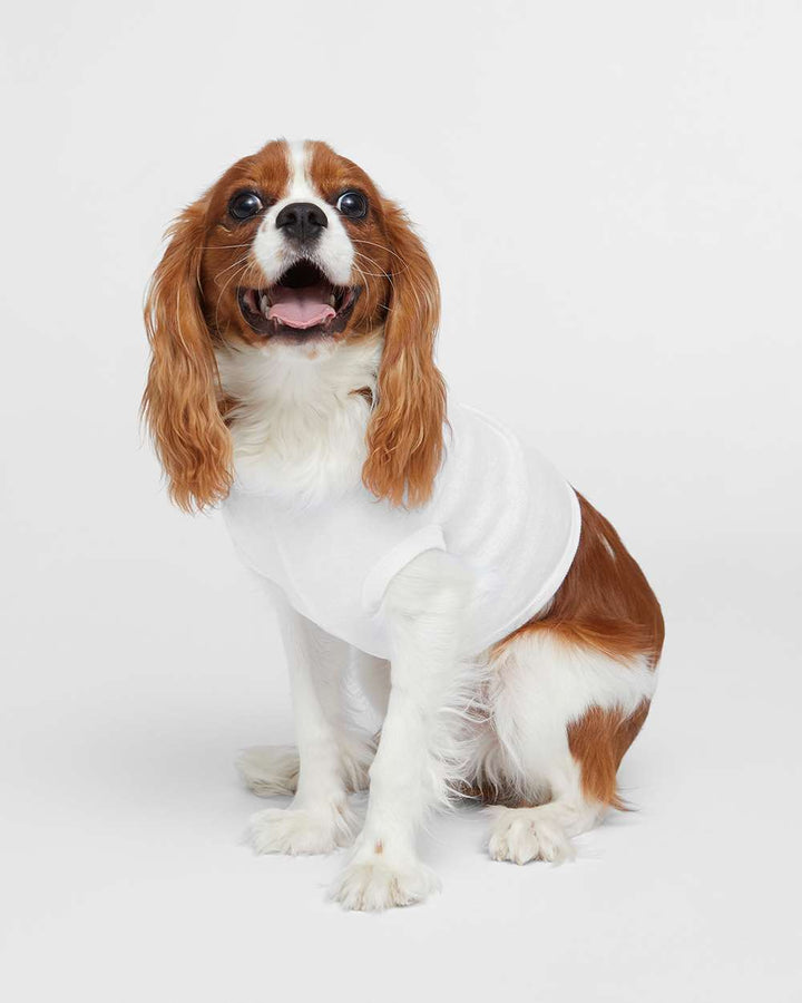 Custom Embroidered Doggie Skins Doggie Tank - 3902